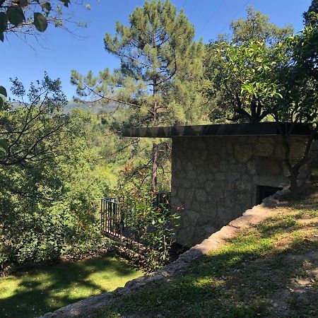Sobreiro Valley - Casa Firmino Vieira do Minho Eksteriør bilde