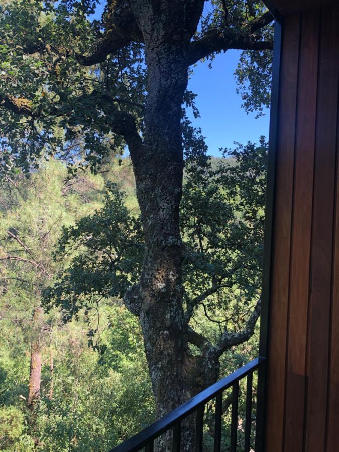 Sobreiro Valley - Casa Firmino Vieira do Minho Eksteriør bilde